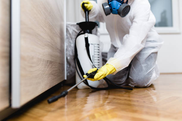 Best Best Pest Control Companies  in Trenton, FL