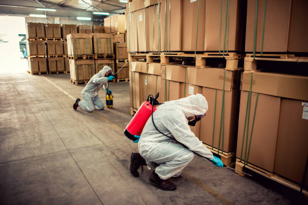 Best Bed Bug Extermination  in Trenton, FL