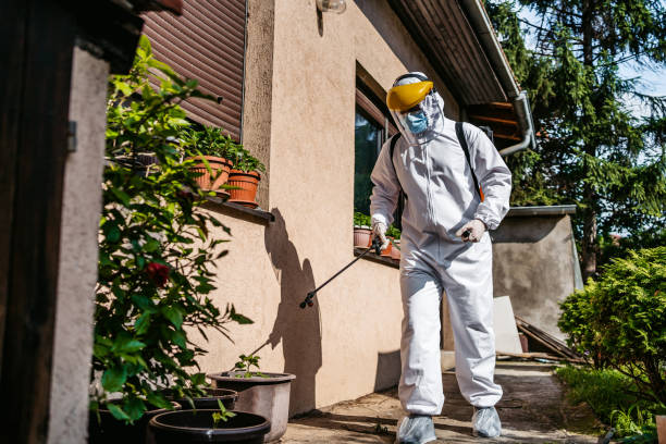 Best Wasp Removal Services  in Trenton, FL