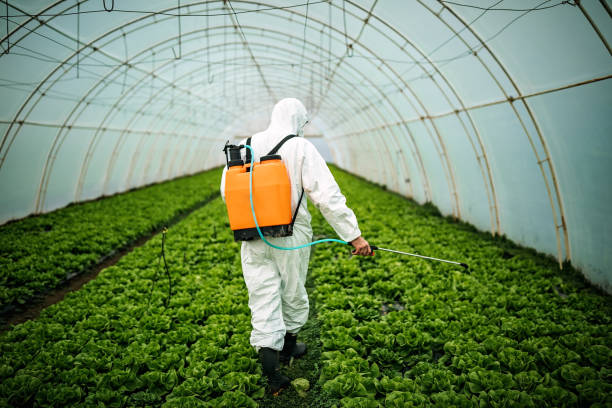 Best Affordable Pest Control Services  in Trenton, FL