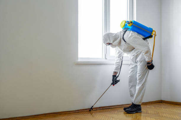 Best Pest Prevention Services  in Trenton, FL