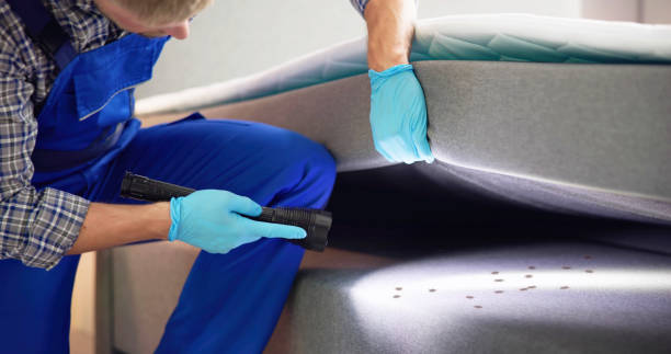 Best Mosquito Control Services  in Trenton, FL