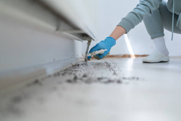 Best Commercial Pest Control Services  in Trenton, FL