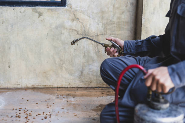 Best Pest Control for Homes  in Trenton, FL
