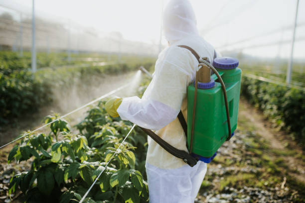 Best Best Pest Control Companies  in Trenton, FL